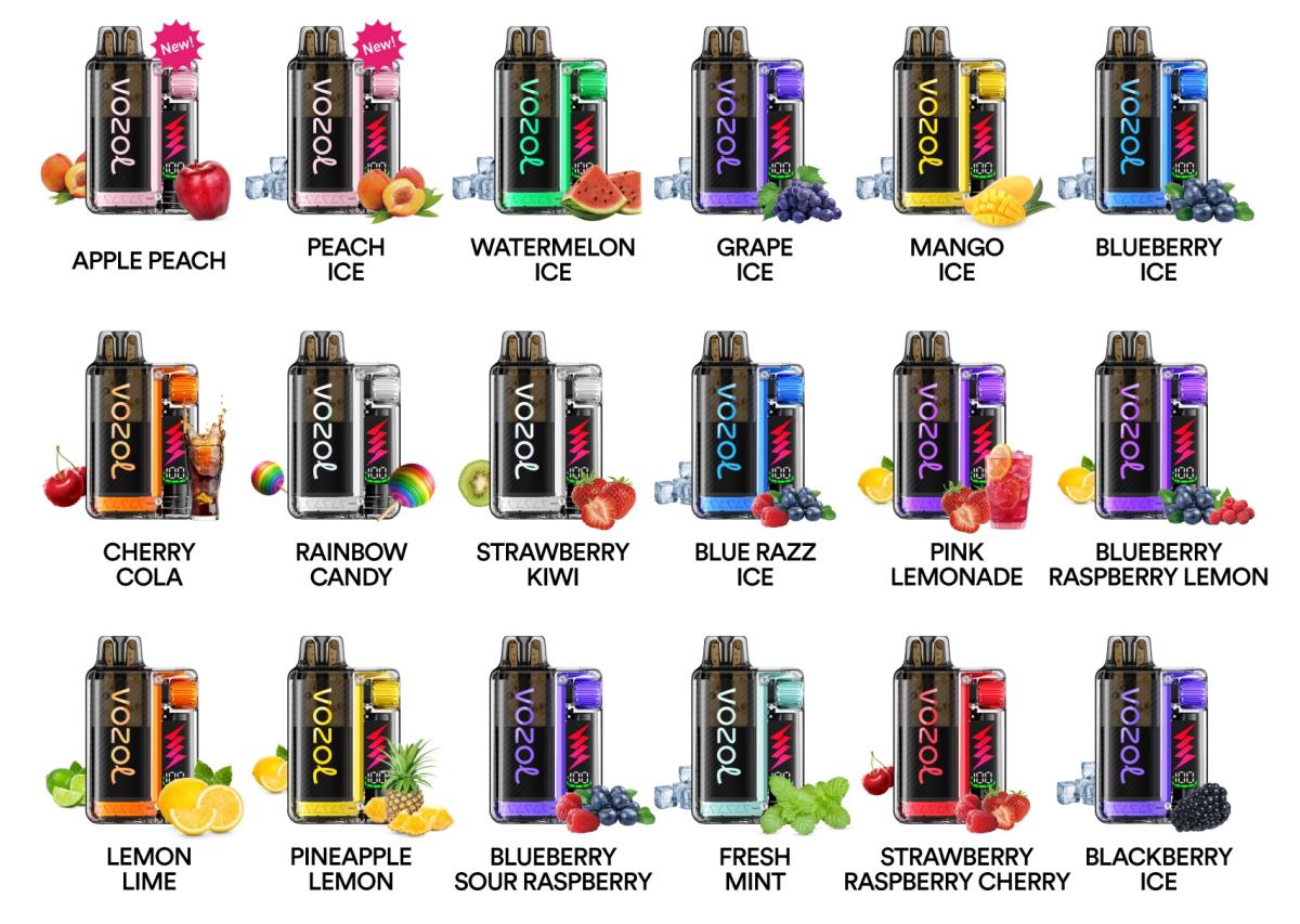 VOZOL VISTA PLUG - Starter Kit mit 10000 Zügen 20mg/ml
