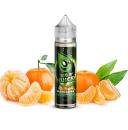 BIG B Juice Accent Line Mandarine (Tangerine) Shortfill 50 ml