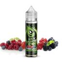 BIG B Juice Accent Line Forest Fruit Shortfill 50 ml