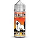 Vapelounge Cloud Juice Silverback Tropical Breeze 100 ml Shortfill