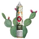 Aisu Cactus NicSalt 20mg/ml 10 ml